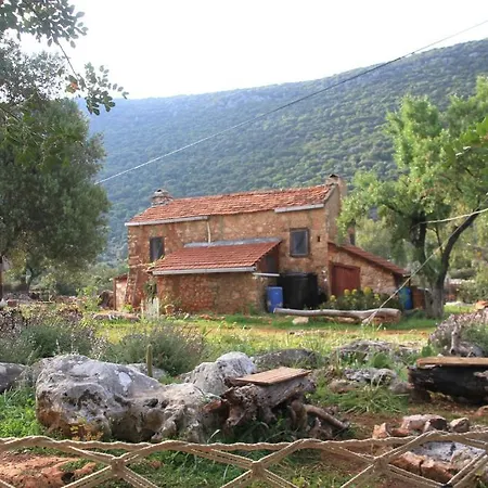 Hiker's Inn-purple House Kaleucagız